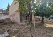 Parcel·la urbanitzable en venda a la España, Rubí, ref.: TR114958 foto
