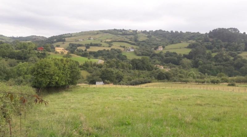Asturias - El Carbayu - 3900m2