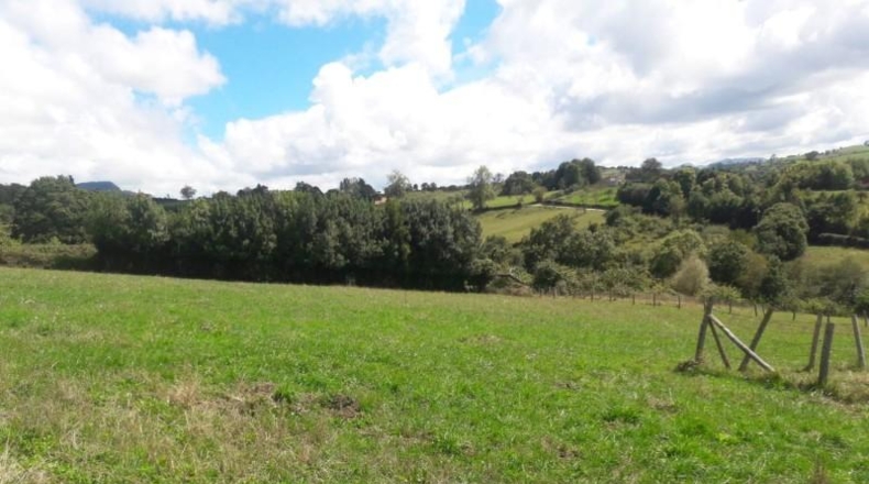 Asturias - El Carbayu - 3900m2