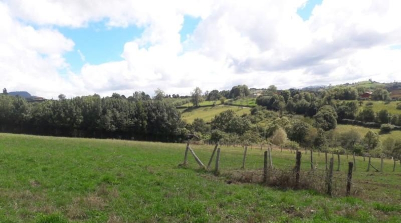 Asturias - El Carbayu - 3900m2