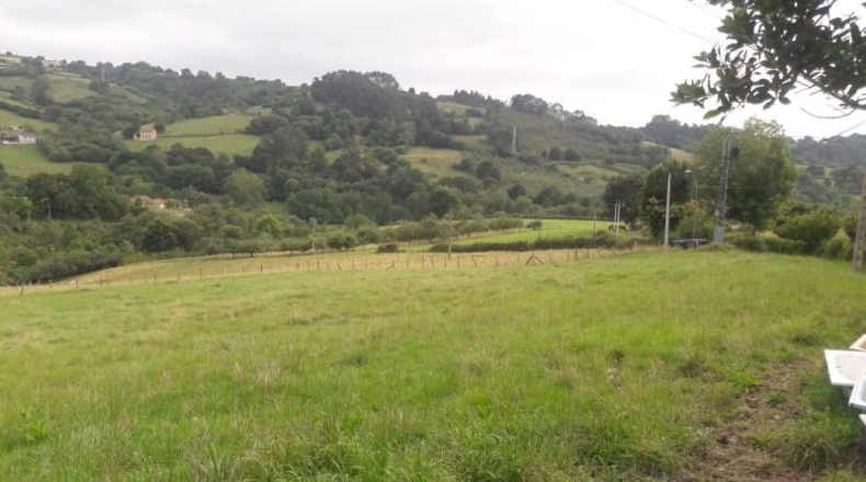 Asturias - El Carbayu - 3900m2