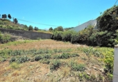 Casa de camp amb terreny en venda a la España, Icod de los Vinos, ref.: TR144010 foto