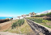 Casa de camp amb terreny en venda a la España, Icod de los Vinos, ref.: TR144010 foto