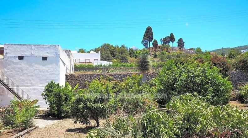 Santa Cruz de Tenerife - Icod de los Vinos - 1750m2