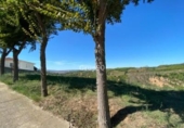 Sòl urbà en venda a la España, Castellbisbal, ref.: TR121837 foto