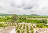Village house for sale on España, Manuel, ref: TR302383 photo