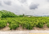 Village house for sale on España, Manuel, ref: TR302383 photo