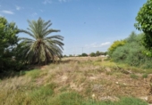 Finca rústica en venta en la España, Dolores, ref: TR297106 foto