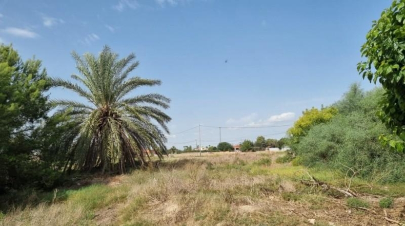 Alicante - Dolores - 7500m2