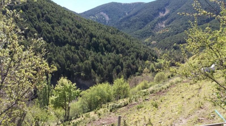 Asturias - Салас - 660m2