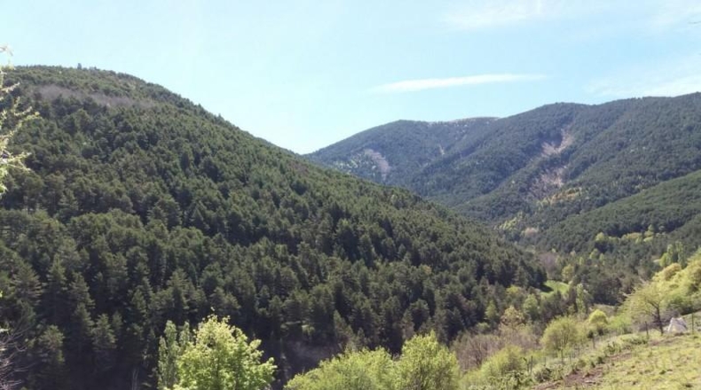 Asturias - Салас - 660m2