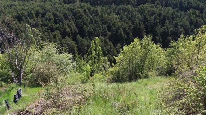 Asturias - Салас - 660m2