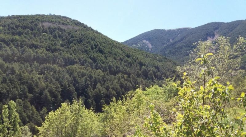 Asturias - Салас - 660m2