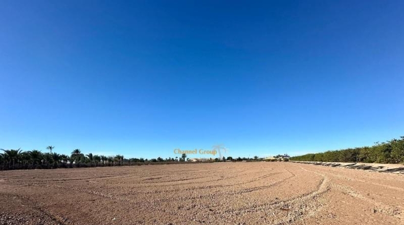 Alicante - Elche - 14481m2