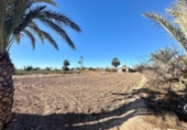 Terreny no urbanitzable en venda a la España, Elx, ref.: TR127805 foto