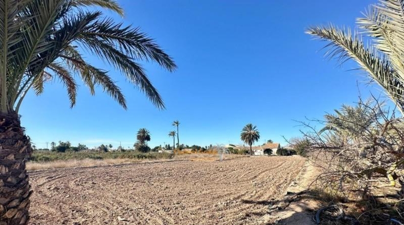 Alicante - Elche - 14481m2