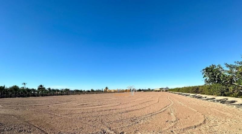 Alicante - Elche - 14481m2