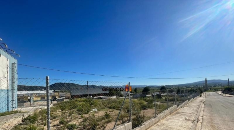 Valencia - Llosa de Ranes - 1787m2