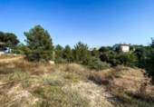 Urban land for sale on España, Torrent, ref: TR265604 photo