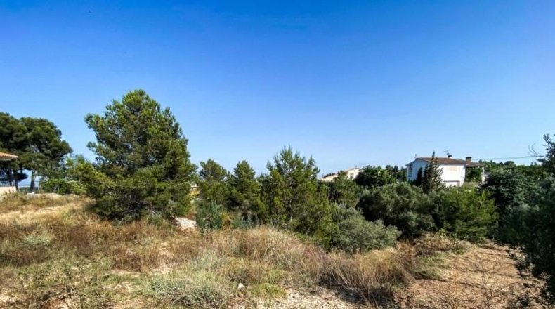 Valencia - Torrente - 1065m2