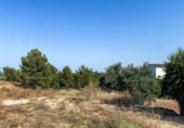 Urban land for sale on España, Torrent, ref: TR265604 photo