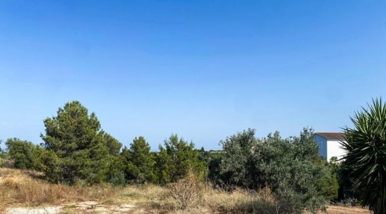 Valencia - Torrente - 1065m2