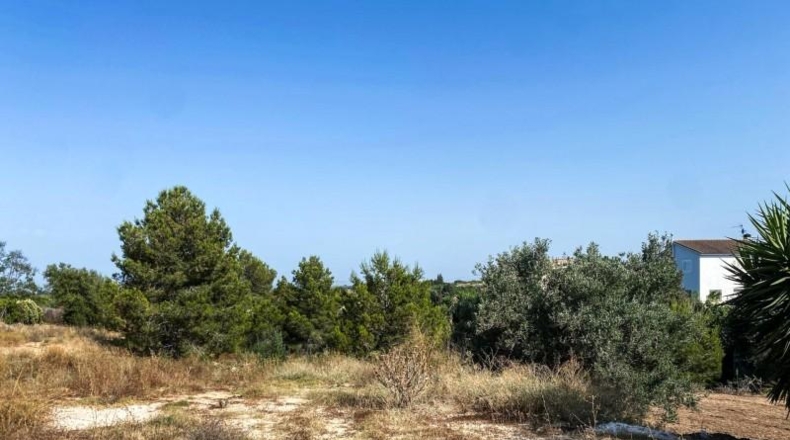 Valencia - Torrente - 1065m2