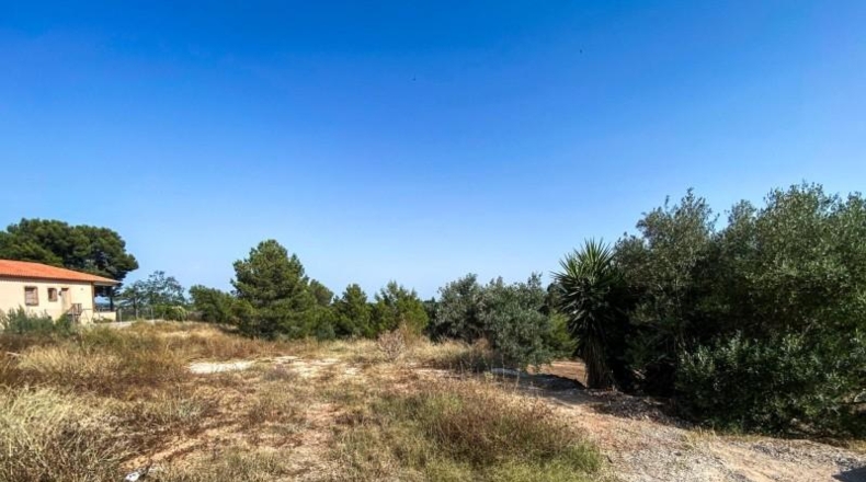 Valencia - Torrente - 1065m2