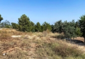 Urban land for sale on España, Torrent, ref: TR265604 photo