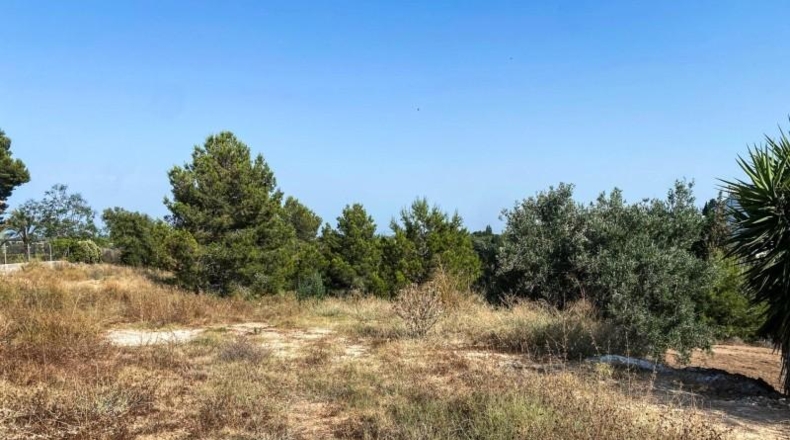 Valencia - Torrente - 1065m2