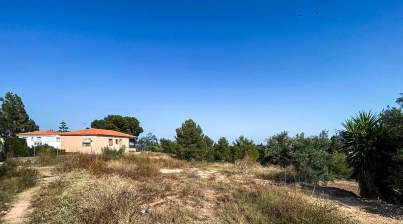 Valencia - Torrente - 1065m2