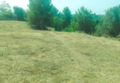Urban land for sale on España, Torrent, ref: TR265604 photo