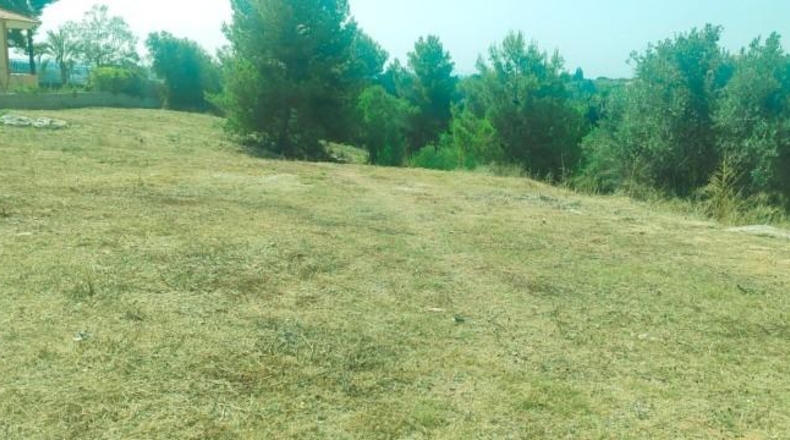Valencia - Torrente - 1065m2
