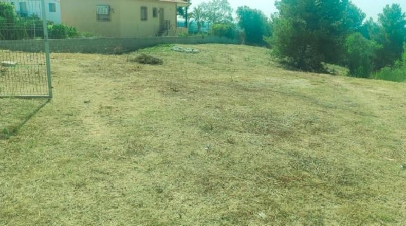Valencia - Torrente - 1065m2