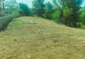 Urban land for sale on España, Torrent, ref: TR265604 photo