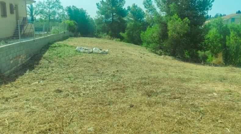 Valencia - Torrente - 1065m2