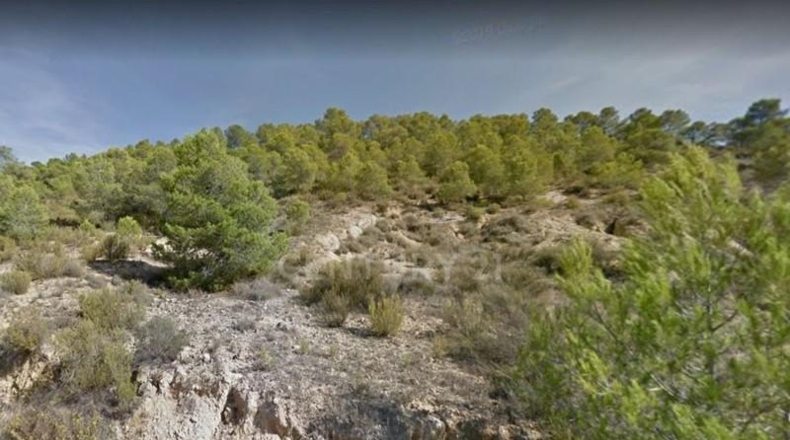 Murcia - Fortuna - 14670m2