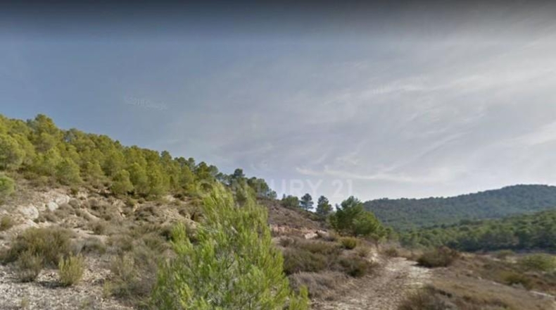 Murcia - Fortuna - 14670m2