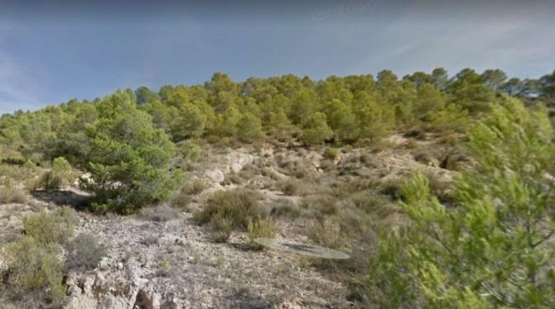 Murcia - Fortuna - 14670m2