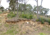 Land suitable for development for sale on España, Sant Genís de Palafolls, ref: TR135172 photo
