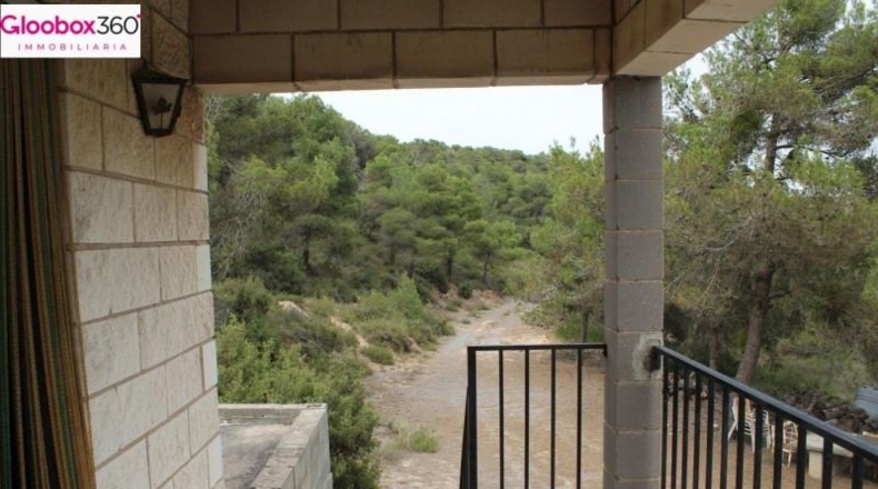 Tarragona - Blancafort - 230000m2