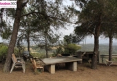 Detached villa with land for sale on España, Blancafort, ref: TR139598 photo