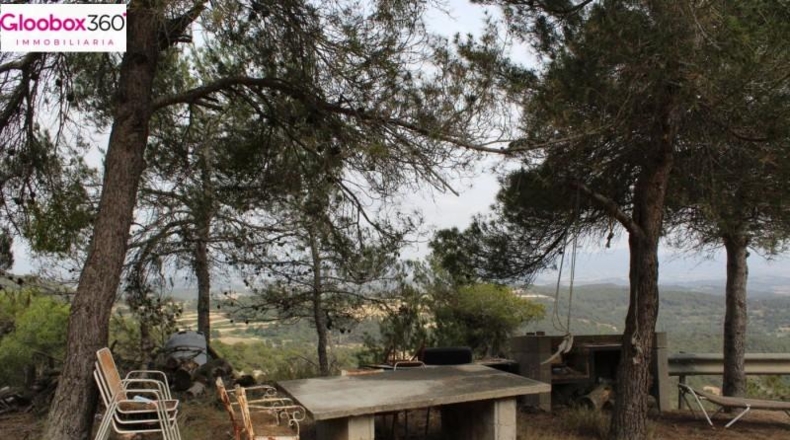 Tarragona - Blancafort - 230000m2