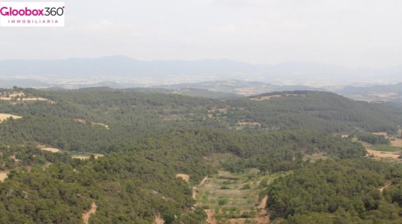Tarragona - Blancafort - 230000m2