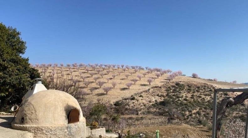 Murcia - Lorca - 75000m2
