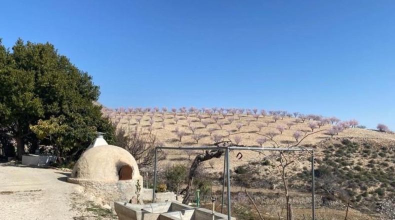 Murcia - Lorca - 75000m2