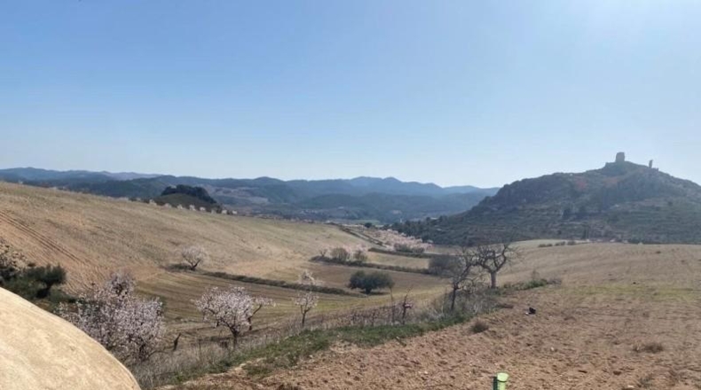 Murcia - Lorca - 75000m2