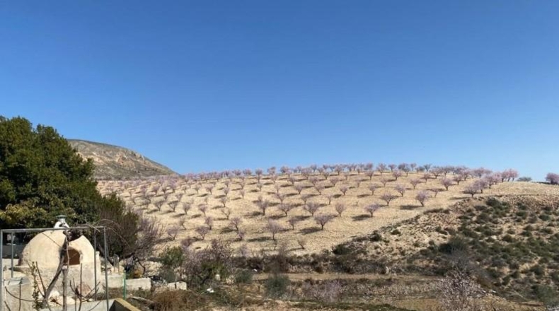 Murcia - Lorca - 75000m2