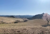 Chalet independiente con terreno en venta en la España, Lorca, ref: TR151921 foto