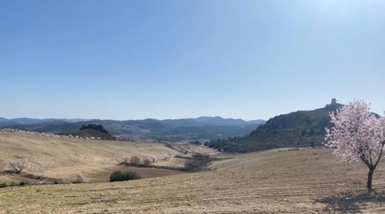Murcia - Lorca - 75000m2